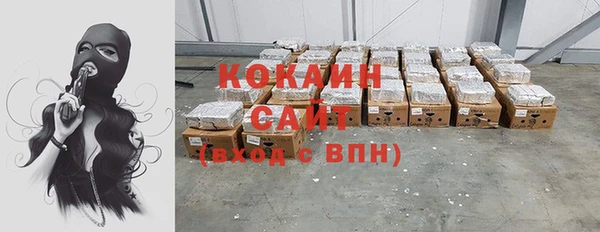 крисы Верхний Тагил