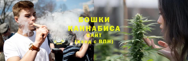 мяу мяу мука Бородино