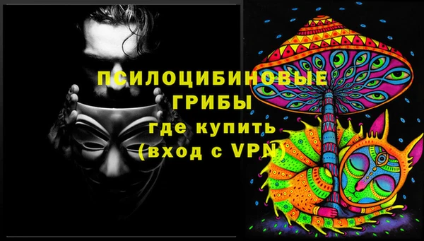 крисы Верхний Тагил
