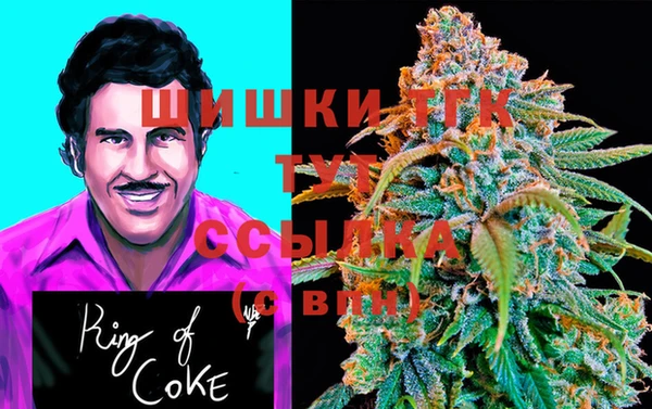 гидропоника Верея