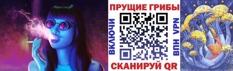 где купить наркоту  Копейск  Псилоцибиновые грибы мухоморы 